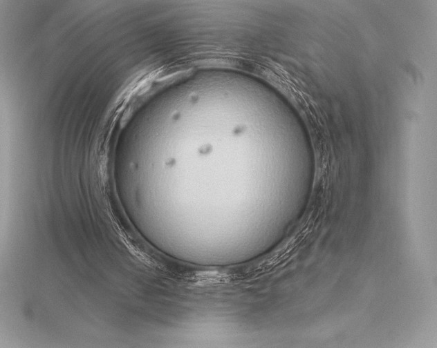 X0000115550050200911201809