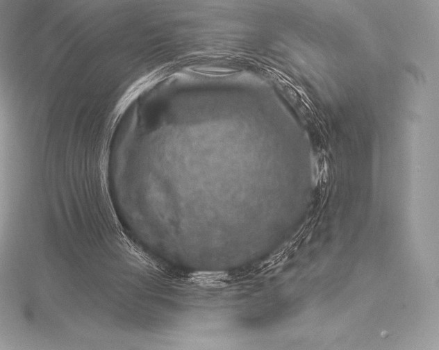 X0000115550051200911201809