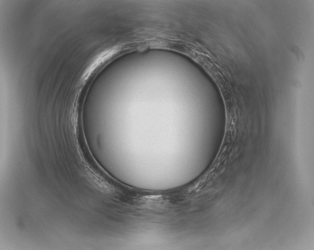 X0000115550054200911201809