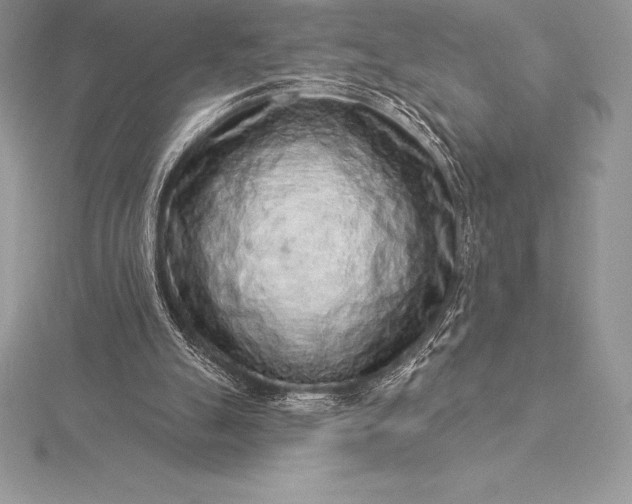 X0000115550055200911201809