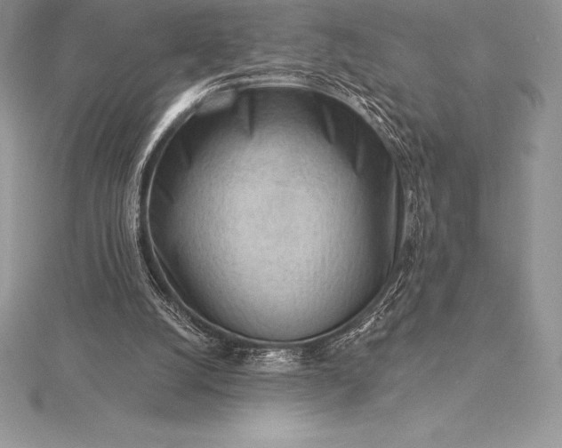 X0000115550056200911201809