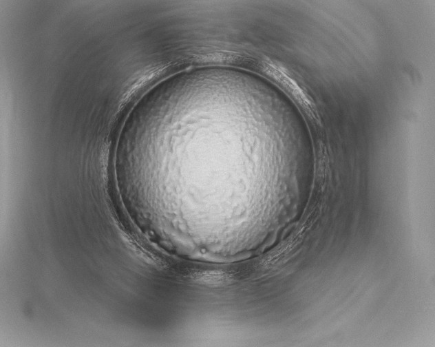 X0000115550058200911201809