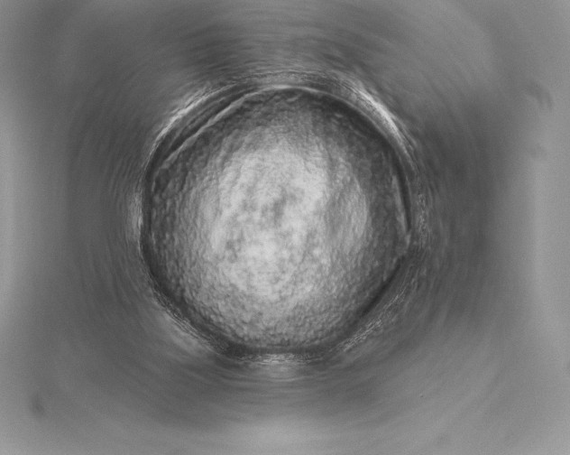 X0000115550059200911201809