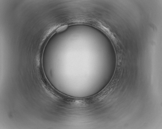 X0000115550060200911201809