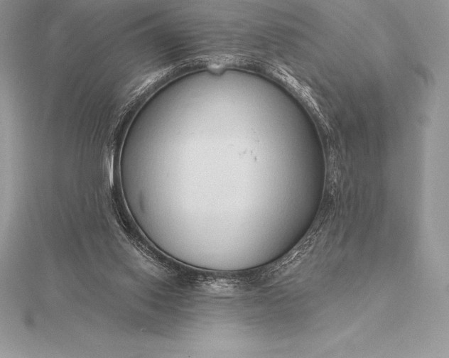 X0000115550062200911201809