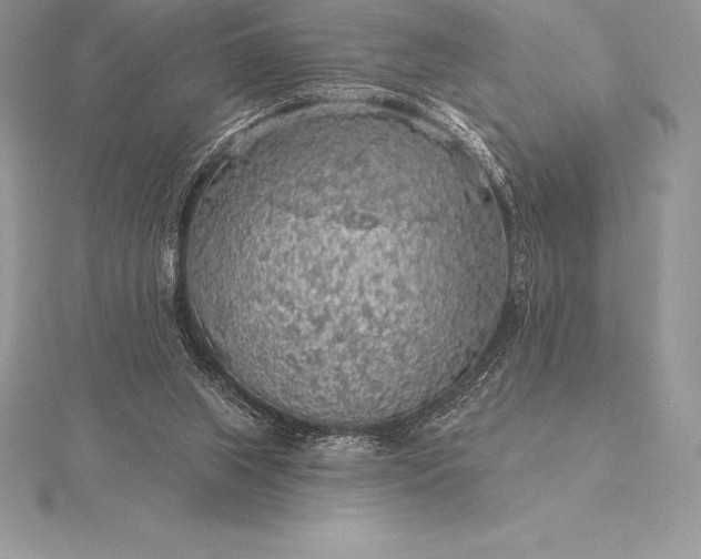 X0000115550063200911201809