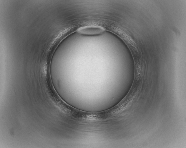 X0000115550064200911201809