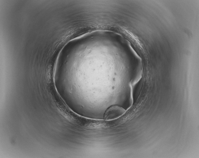 X0000115550065200911201809