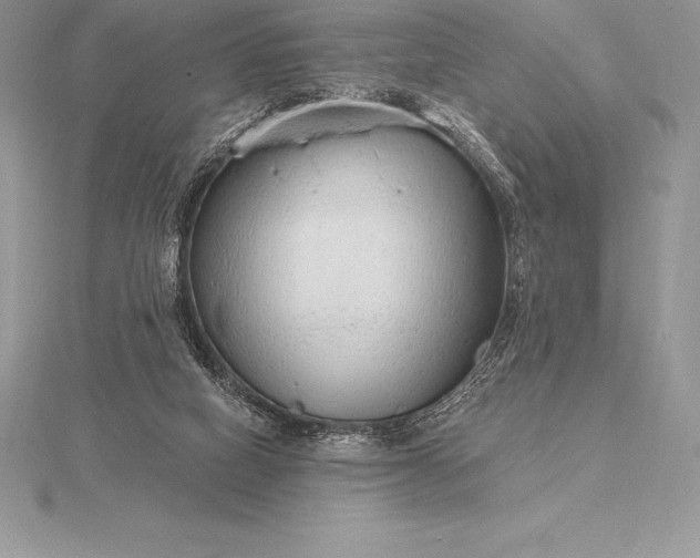 X0000115550066200911201809