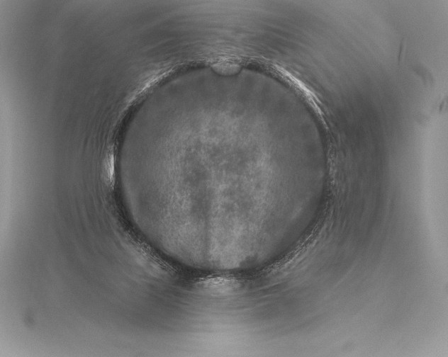 X0000115550067200911201809