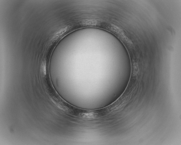 X0000115550068200911201809