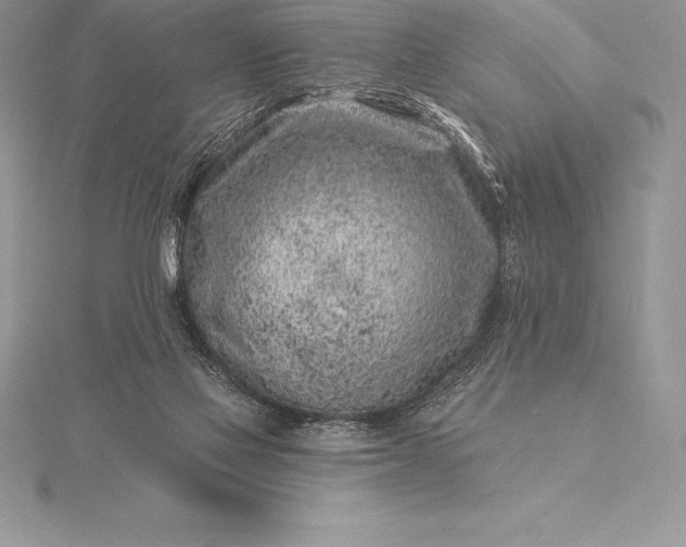 X0000115550069200911201810