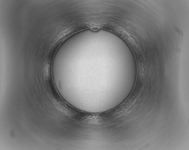 X0000115550071200911201810