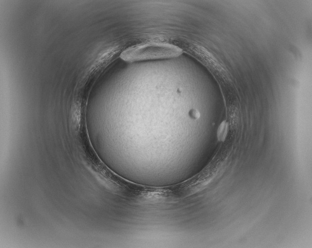 X0000115550072200911201810