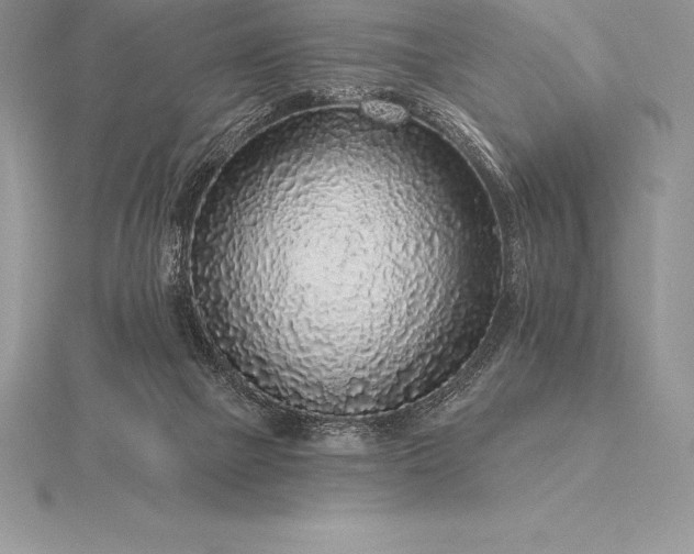 X0000115550073200911201810