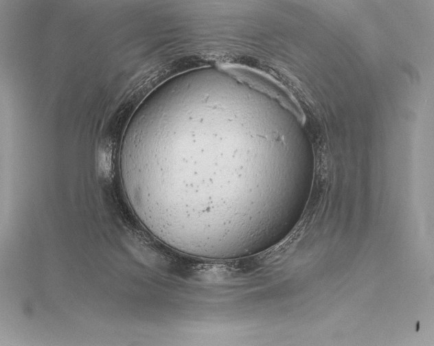 X0000115550074200911201810