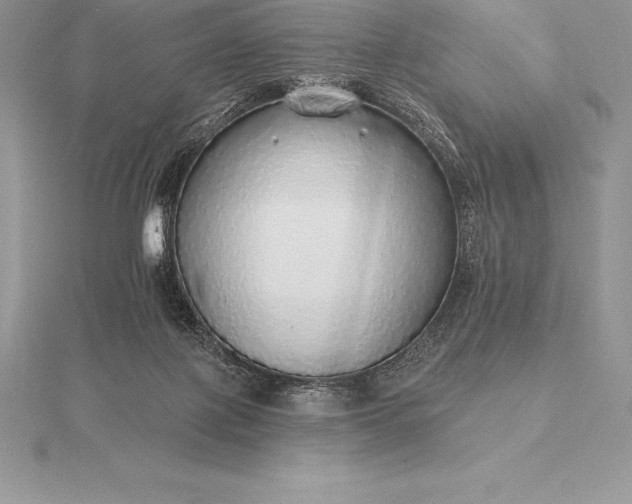 X0000115550075200911201810