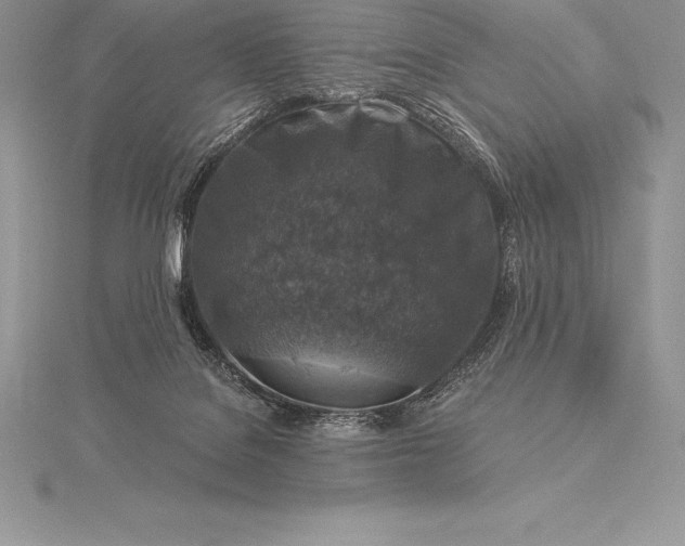 X0000115550076200911201810