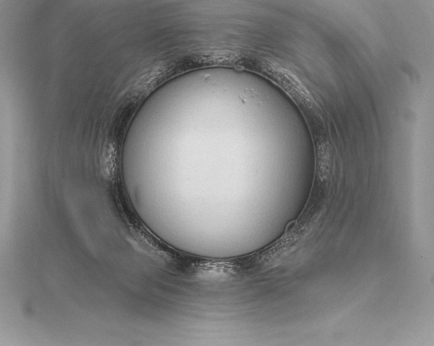 X0000115550077200911201810