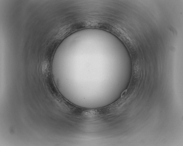 X0000115550079200911201810