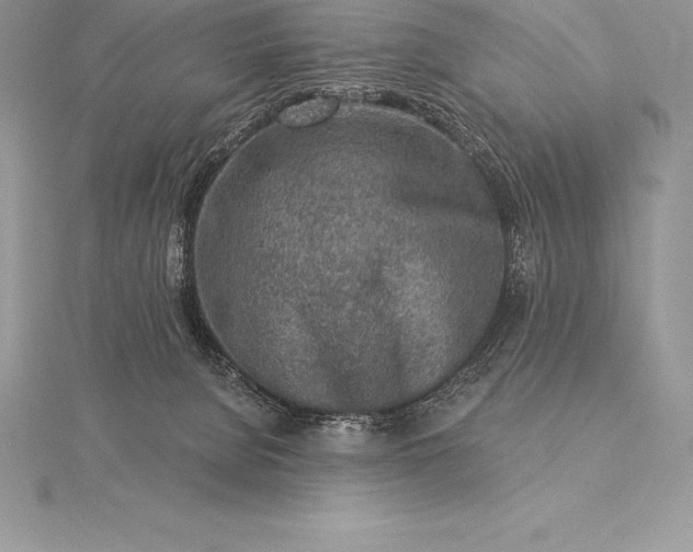 X0000115550080200911201810