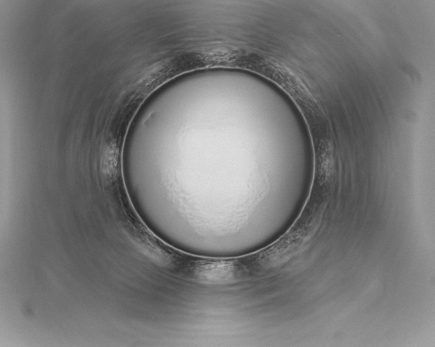 X0000115550081200911201810