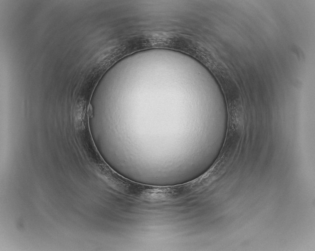 X0000115550082200911201810