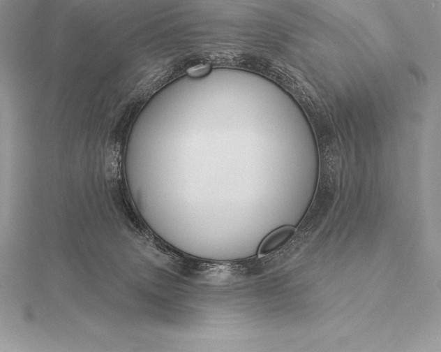 X0000115550083200911201810