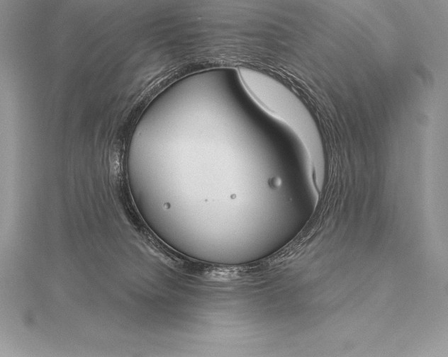 X0000115550084200911201810