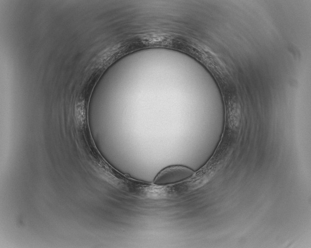 X0000115550085200911201810