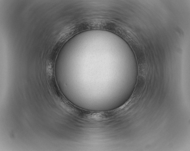 X0000115550086200911201810