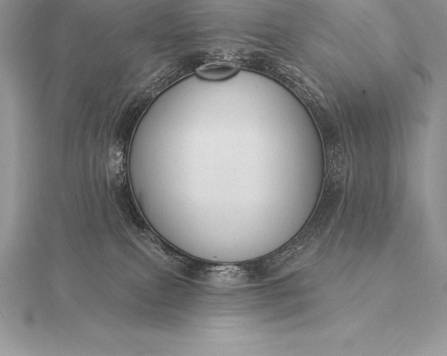 X0000115550087200911201810