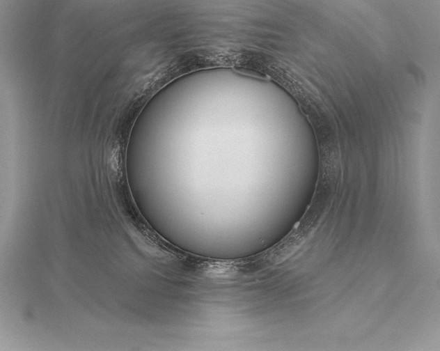 X0000115550088200911201810