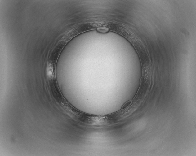 X0000115550089200911201810