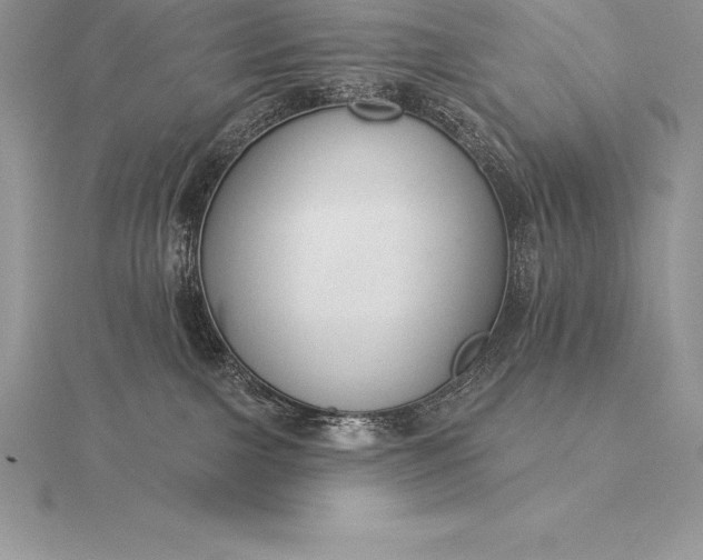 X0000115550091200911201810