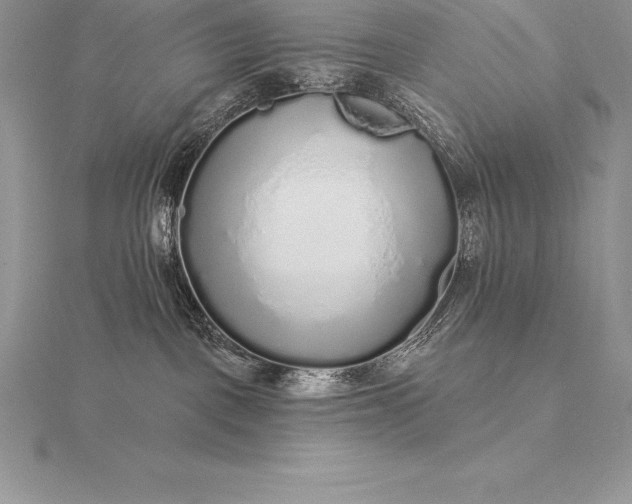 X0000115550093200911201810