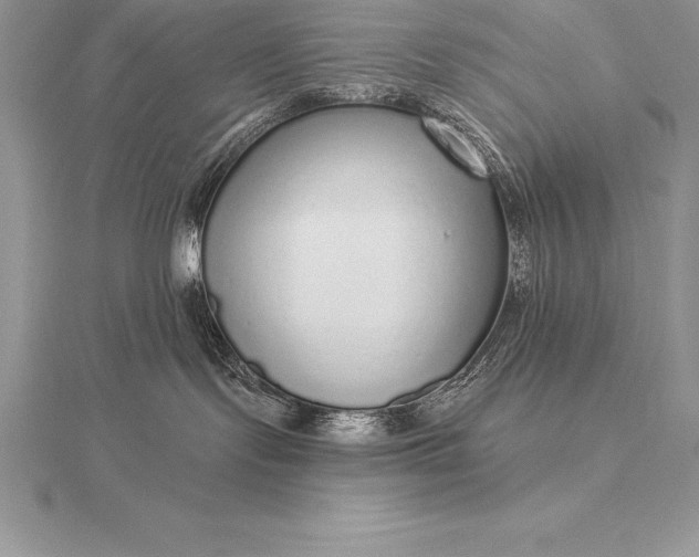 X0000115550095200911201810