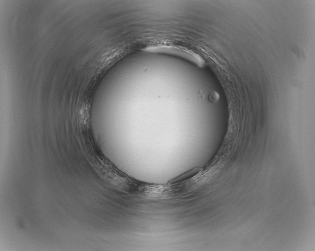 X0000115550096200911201810