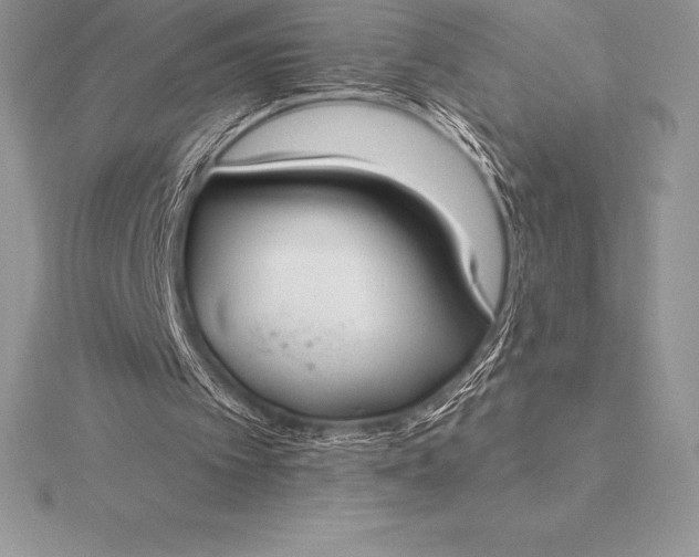 X0000115550097200911201809