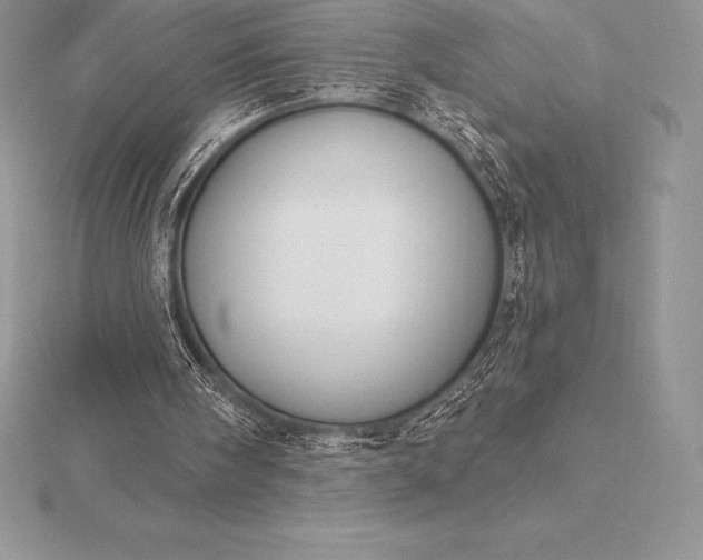 X0000115550098200911201809