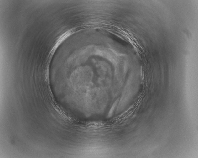 X0000115550099200911201809