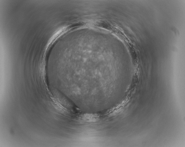 X0000115550101200911201809