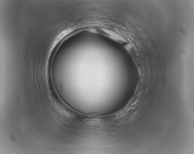 X0000115550104200911201809