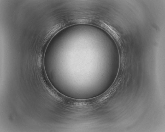 X0000115550105200911201809