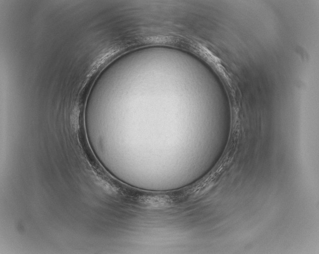 X0000115550106200911201809