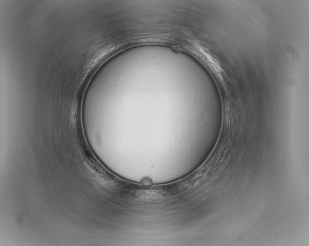 X0000115550107200911201809