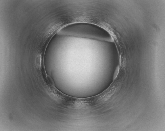 X0000115550109200911201809