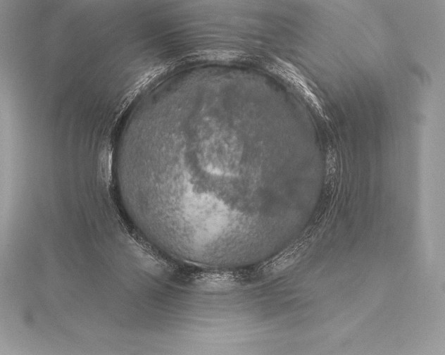 X0000115550110200911201809