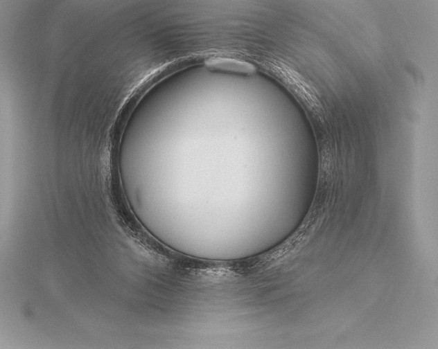 X0000115550112200911201809