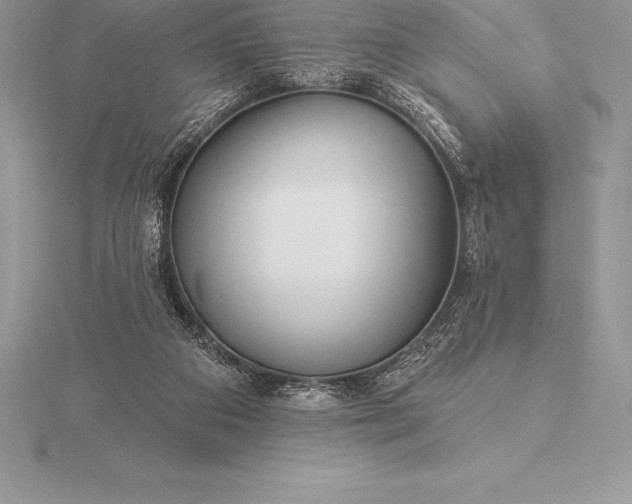 X0000115550113200911201809